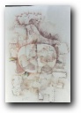 Peace_Dove [Click to enlarge image]