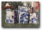 Blue_Castles [Click to enlarge image]