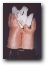 Hands_Shalom [Click to enlarge image]
